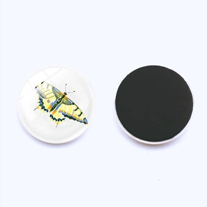 Detailed front and back view of a 25mm round glass butterfly fridge magnet with strong magnetic backing