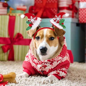 Christmas dog outfit with reindeer hoodie and snowflake headband set for festive holiday photos