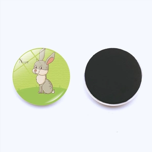 Detail showing the cartoon hare design and magnetic back of the 25mm glass fridge magnet