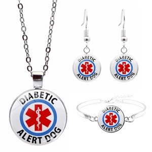 Détails de la parure médicale argentée avec symbole de vie pour chien d'alerte diabétique