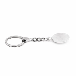 Silver metal husky dog glass gem keychain with sunburst texture relief and steel chain