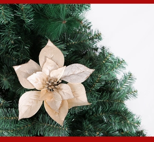 Detailed view of elegant champagne gold Christmas flower on green pine branches