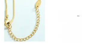Detail der 18K vergoldeten Titan-Schlangenkette mit Karabiner und K18-Anhänger