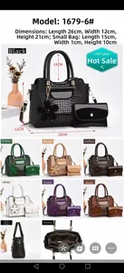 Detail view of glossy crocodile pattern handbag set with dimensions and color options