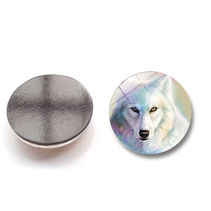 Gedetailleerd voor- en achteraanzicht van wolf portret koelkastmagneten van kristalglas
