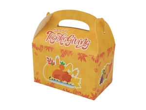 Macro view of Thanksgiving gift box with turkey and pumpkin prints on yellow paperboard