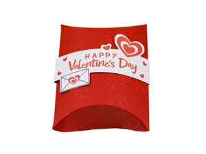 Boîte oreiller rouge avec étui de la Saint-Valentin et motifs de cœur pour cadeaux
