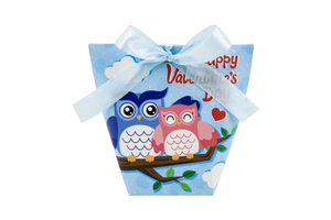Detail of light blue Valentine's gift box with cartoon owls and a satin ribbon bow