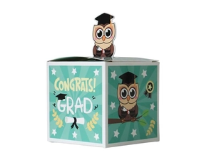 Detailansicht der blauen Abschluss-Geschenkbox mit 3D-Eule und Congrats Grad Text