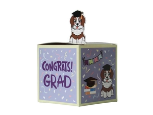 Details einer quadratischen Abschluss-Geschenkbox mit Cartoon-Hund und Glückwunsch-Schrift