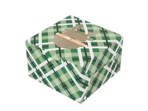 Green plaid Christmas gift box with deer window and Merry Christmas text detail
