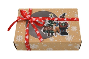 Macro shot of Kraft paper Christmas cookie box with clear window and red snowflake ribbon