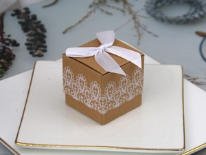 Detail of kraft paper gift box with white lace pattern and silk bow on white plate