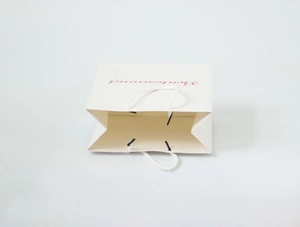 Detail of white paper wedding gift bag featuring pink Bridesmaid script and rope handles