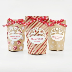 Sacs à Bonbons en Papier Kraft de Noël Boîtes Cadeaux Ajourées Renne Rubans Flocons Rayures Motifs Menthe Décoration Festive
