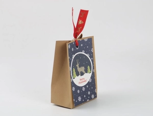 Close-up of Christmas kraft paper gift bag with red ribbon and blue deer card detail