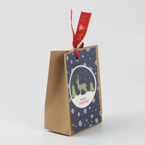 Brown kraft paper Christmas gift bag with red reindeer ribbon and festive blue hang tag