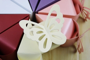 Detail of laser-cut butterfly candy box with pearlescent texture and扇-shaped design