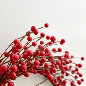 Vibrant red Christmas berry stems with realistic woody branches for holiday decoration