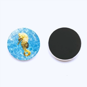Detail view showing front seahorse pattern and back black magnetic base of the 25mm round magnet