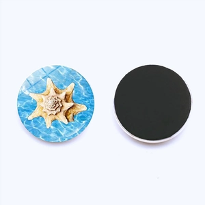 Macro view of 25mm sea snail glass fridge magnet with round black magnetic backing