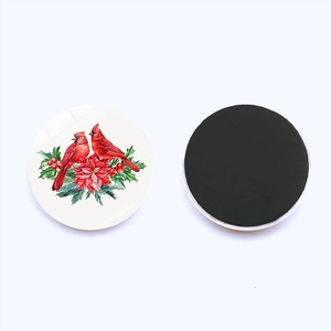 Details der magnetischen Rückseite und Kardinalvogel-Kunst auf dem Glaskühlschrankmagnet