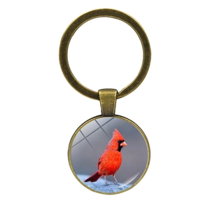 Détail d'un porte-clés cardinal en bronze avec un pendentif en verre haute définition