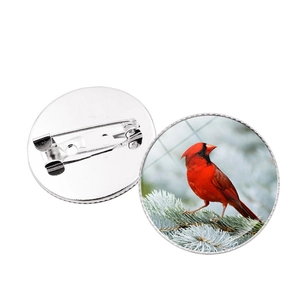 Cardinal bird glass dome brooch pin set with silver metal backing on white background