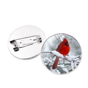 Round cardinal bird brooch with glass dome and silver metal pin on white background