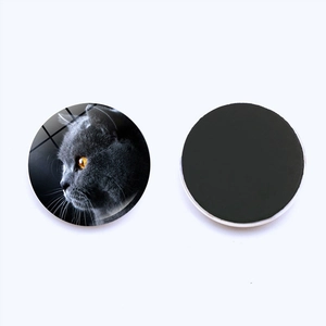 Cute round glass fridge magnets featuring British Shorthair cat designs and magnetic back