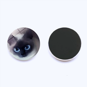 Close-up of a 25mm round glass fridge magnet with cute Siamese cat and magnetic back
