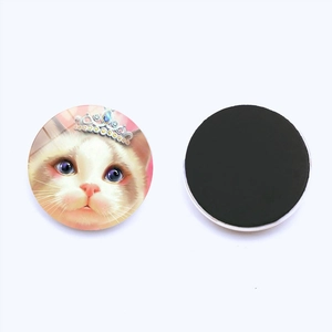 Detail of round glass fridge magnet with cute white crown cat illustration and magnetic back