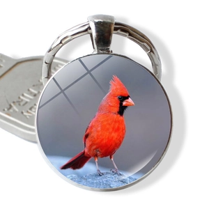 Detailansicht des Kardinalvogel-Schlüsselanhängers mit gewölbtem Glas und Metallring