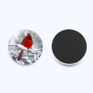 Imán de nevera de pájaro cardenal en cristal de vidrio, decorativo redondo de 25 mm fuerte