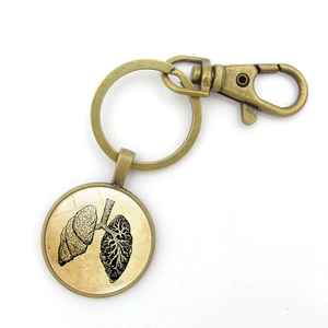 Detail of vintage bronze lung anatomy keychain with glass dome and lobster clasp