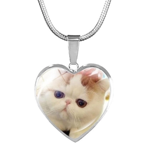 Detail eines herzförmigen Fotoanhängers mit Katze an einer silbernen Schlangenkette