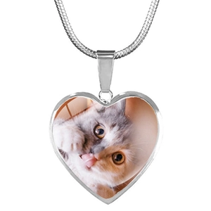 Makroaufnahme eines silbernen Herzanhängers mit Katzenfoto an einer feinen Schlangenkette