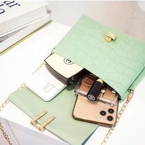 Light green crocodile pattern flap bag with gold chain showing spacious interior