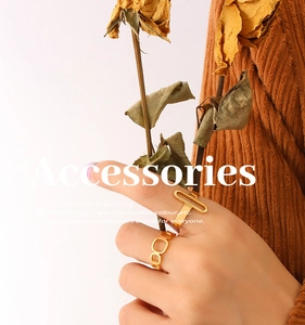 Detail of gold geometric hollow rings set on hand with dry flower aesthetic background