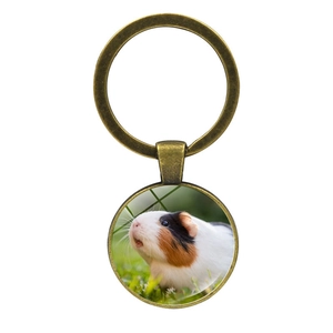 Detailed view of guinea pig glass pendant keychain with bronze alloy ring on white background