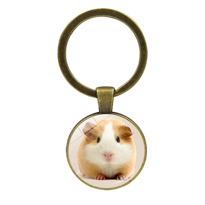 Cute Guinea Pig Photo Glass Cabochon Keychain Retro Metal Round Animal Pendant Key Ring Holder Bag Hanging Accessory Gift