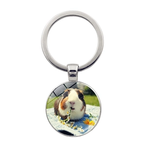 Cute guinea pig photo keychain with round silver metal pendant for pet lovers