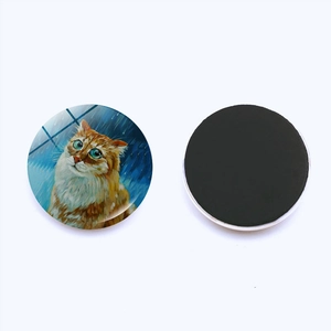 Detail of a 25mm starry sky cat fridge magnet with smooth glass dome and soft magnetic back