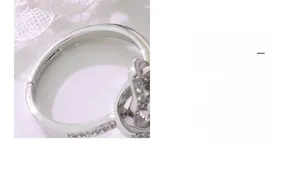Détail d'une bague élégante argentée sertie de zircons avec mécanisme à charnière