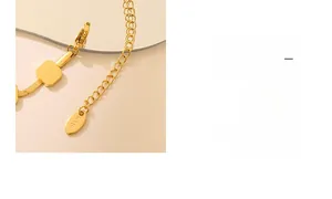 Macro detail of 18K gold plated extension chain and K18 hallmark tag on snake bracelet