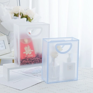 Minimalist frosted clear plastic gift bag with handles in white and light blue colors