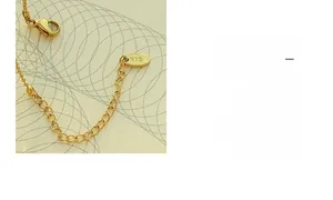 Macro shot of gold extension chain with K18 engraved tag and lobster clasp detail