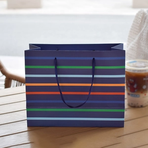 Marineblaue Regenbogenstreifen Geschenktüte Weißer Karton Horizontale Papiertüte Mit Bandgriff Für Geburtstagsfeier Hochzeit Mode