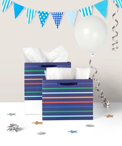 Detail von dunkelblauen Geschenktüten mit Regenbogenstreifen und festlicher Partydeko