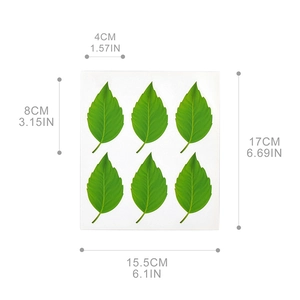 Lot de 6 autocollants décoratifs en forme de feuille verte avec détails de nervures
